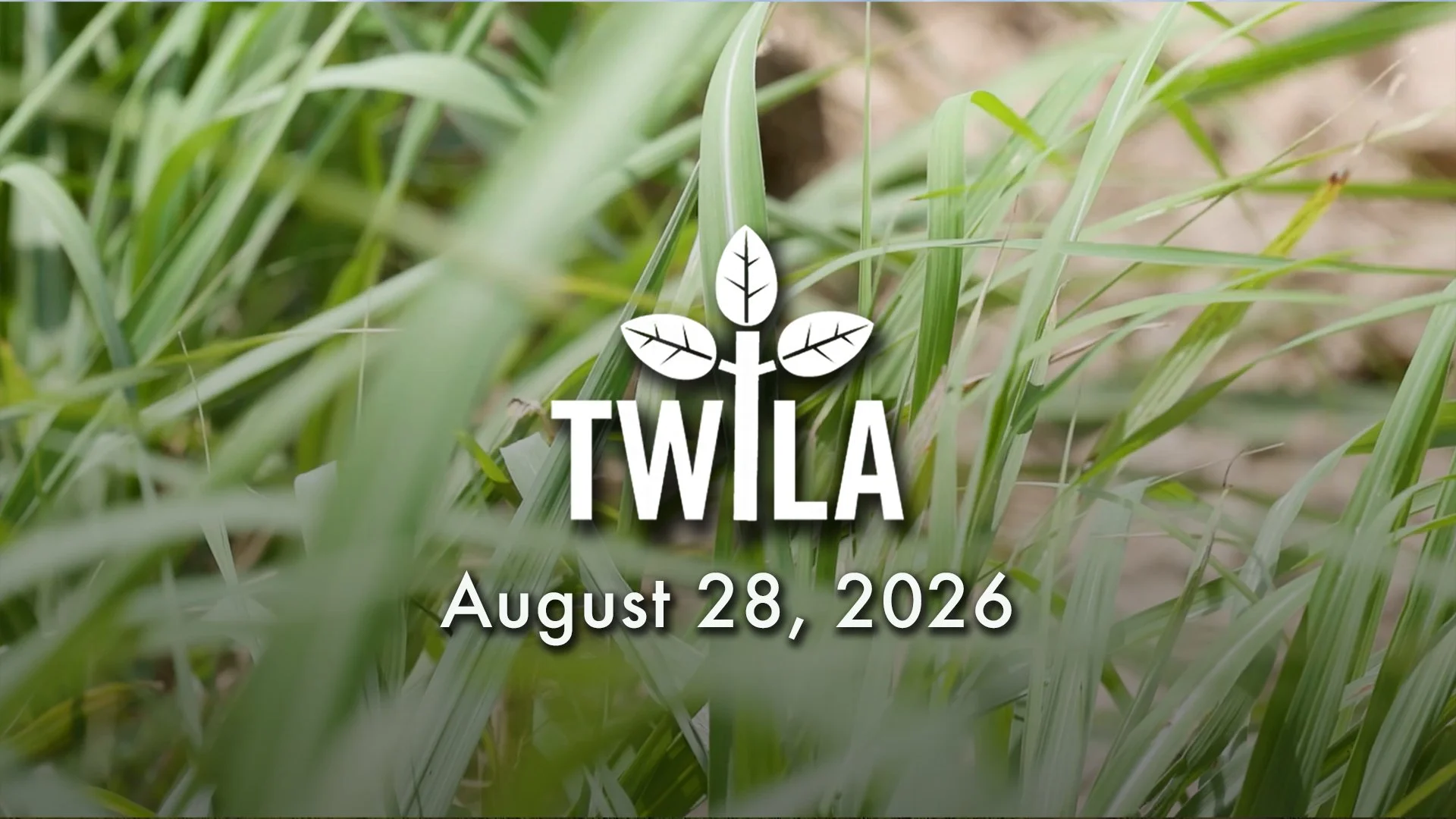TWILA: August 28, 2026