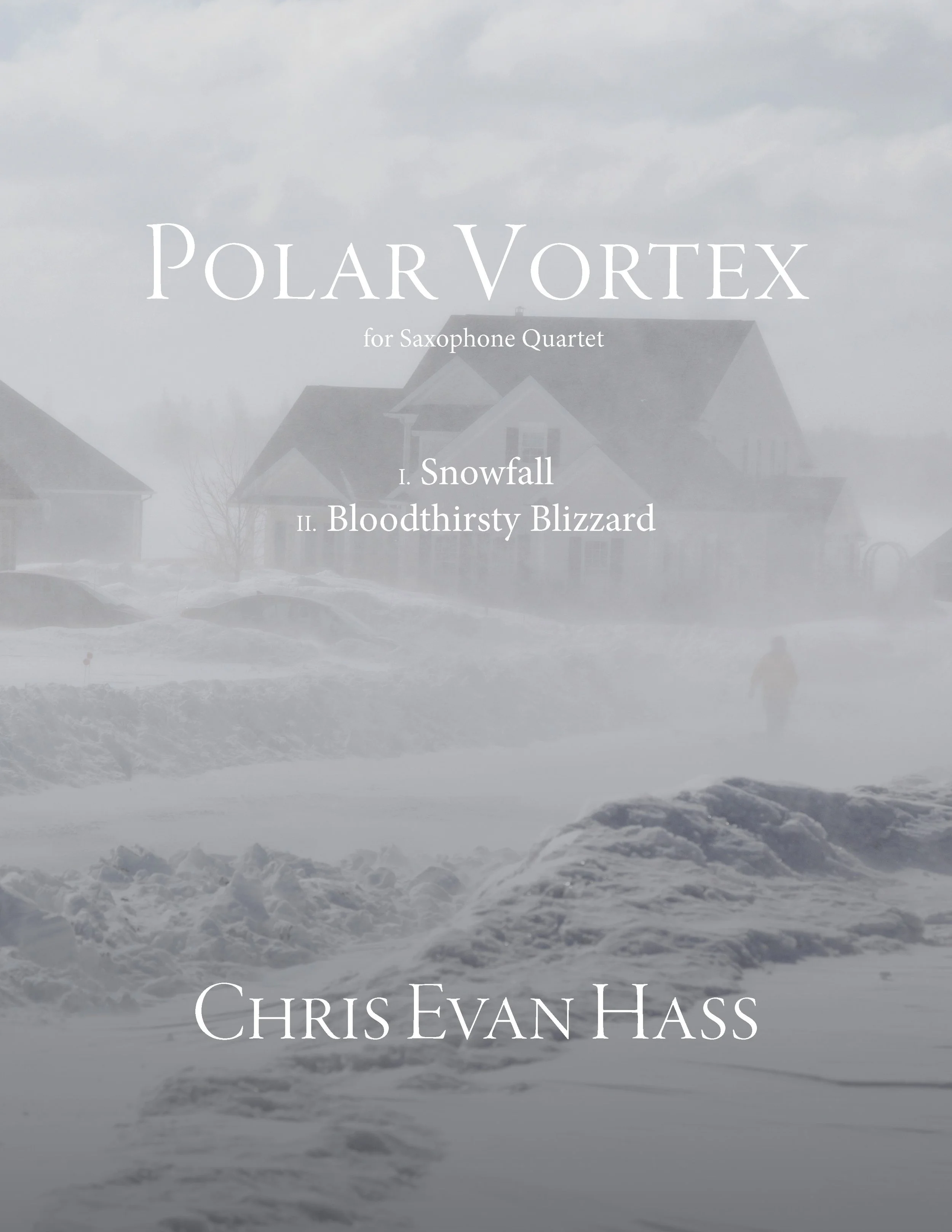polar vortex (edited).jpg