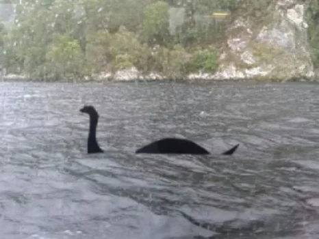  Search for Nessie