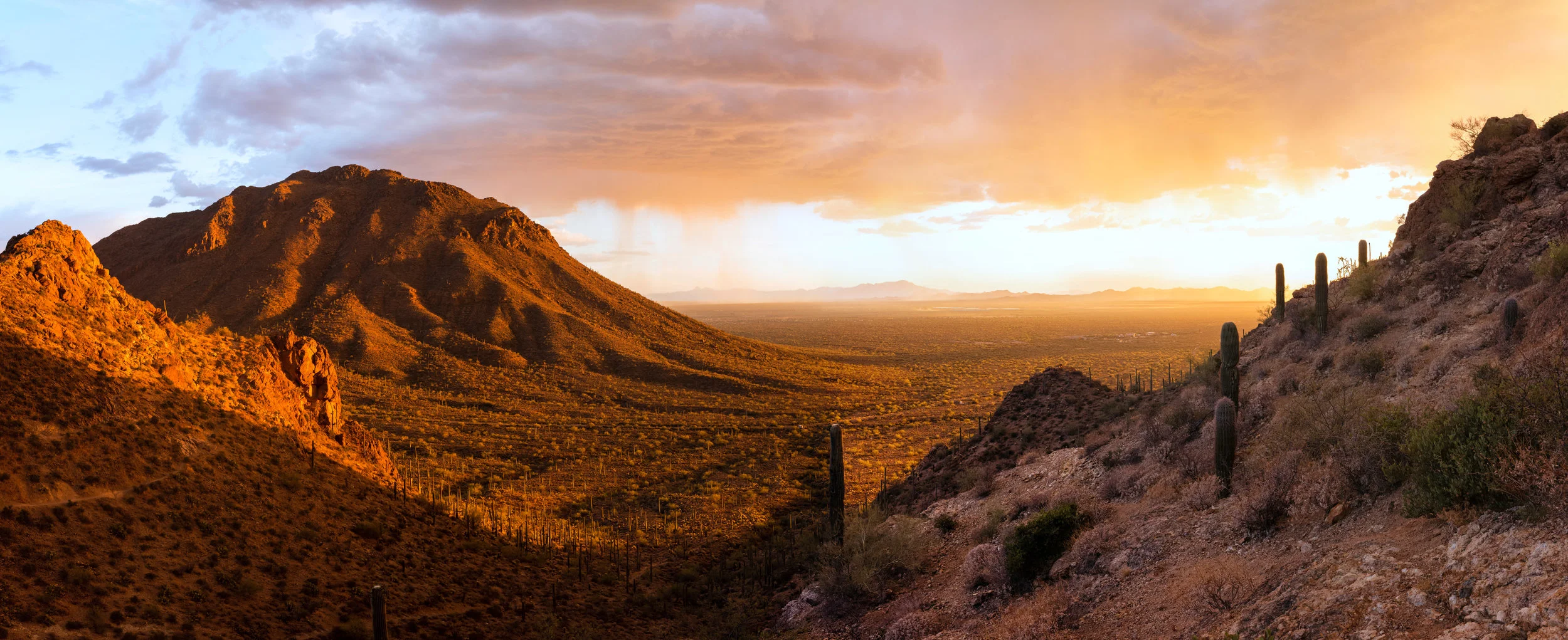 Tucson Mountain Park-2.jpg
