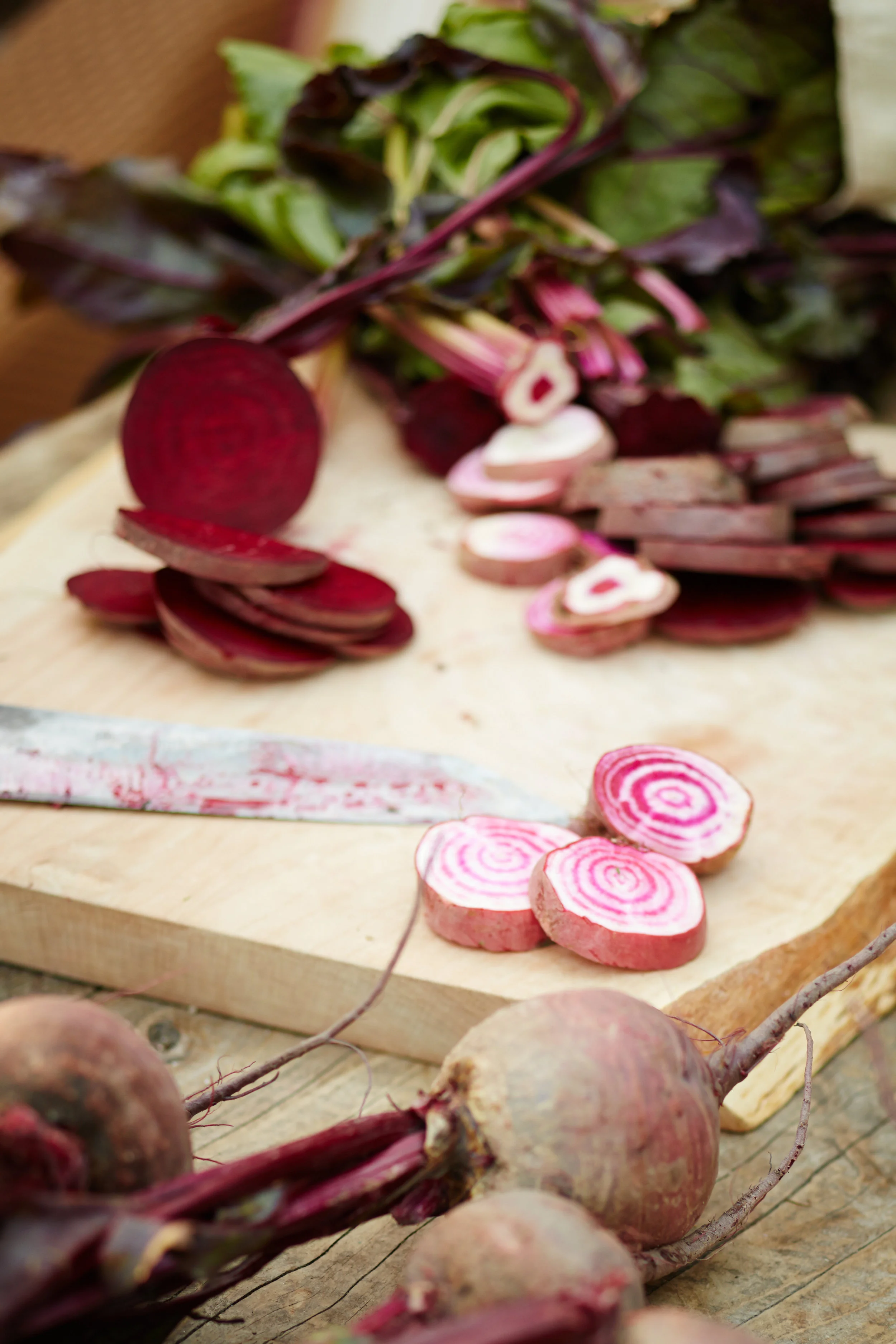 FermentedFoods2319.jpg