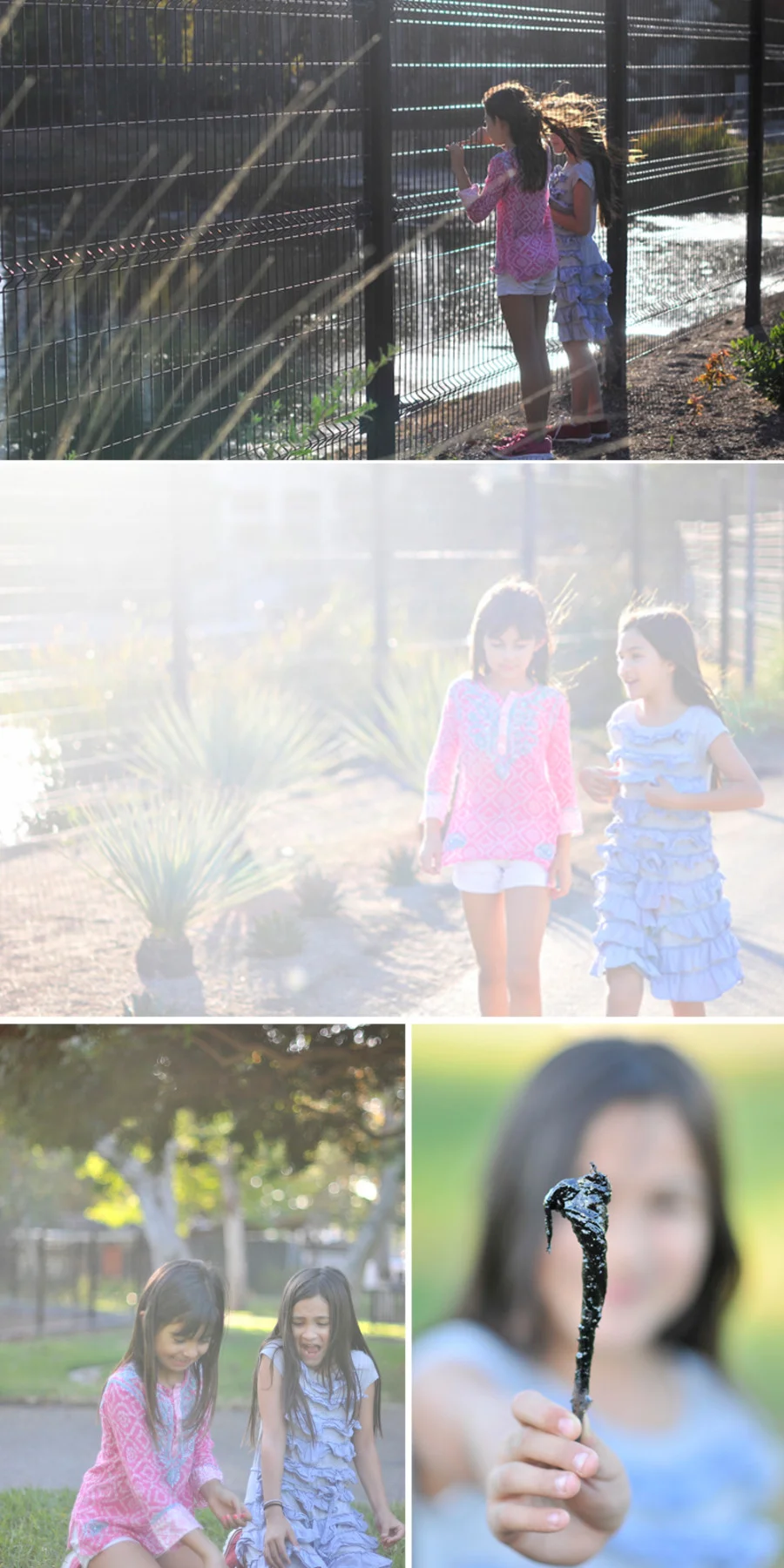 Although it is so much fun to walk around the Tar Pits and explore, sometimes the tar is a bit gross!!