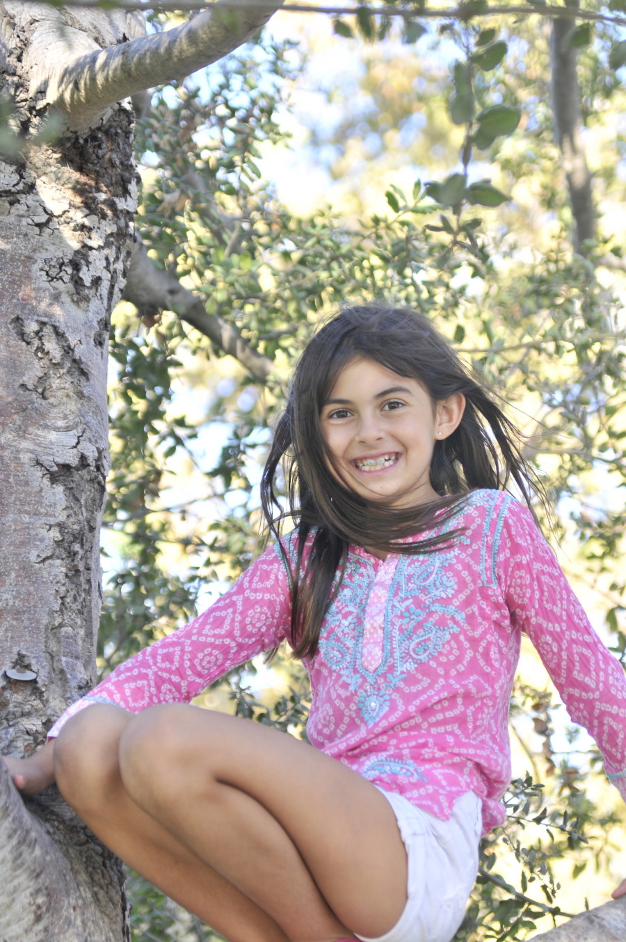 So many trees to climb! Wow!