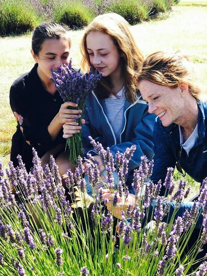 The scent of lavender is known for its calming effects.