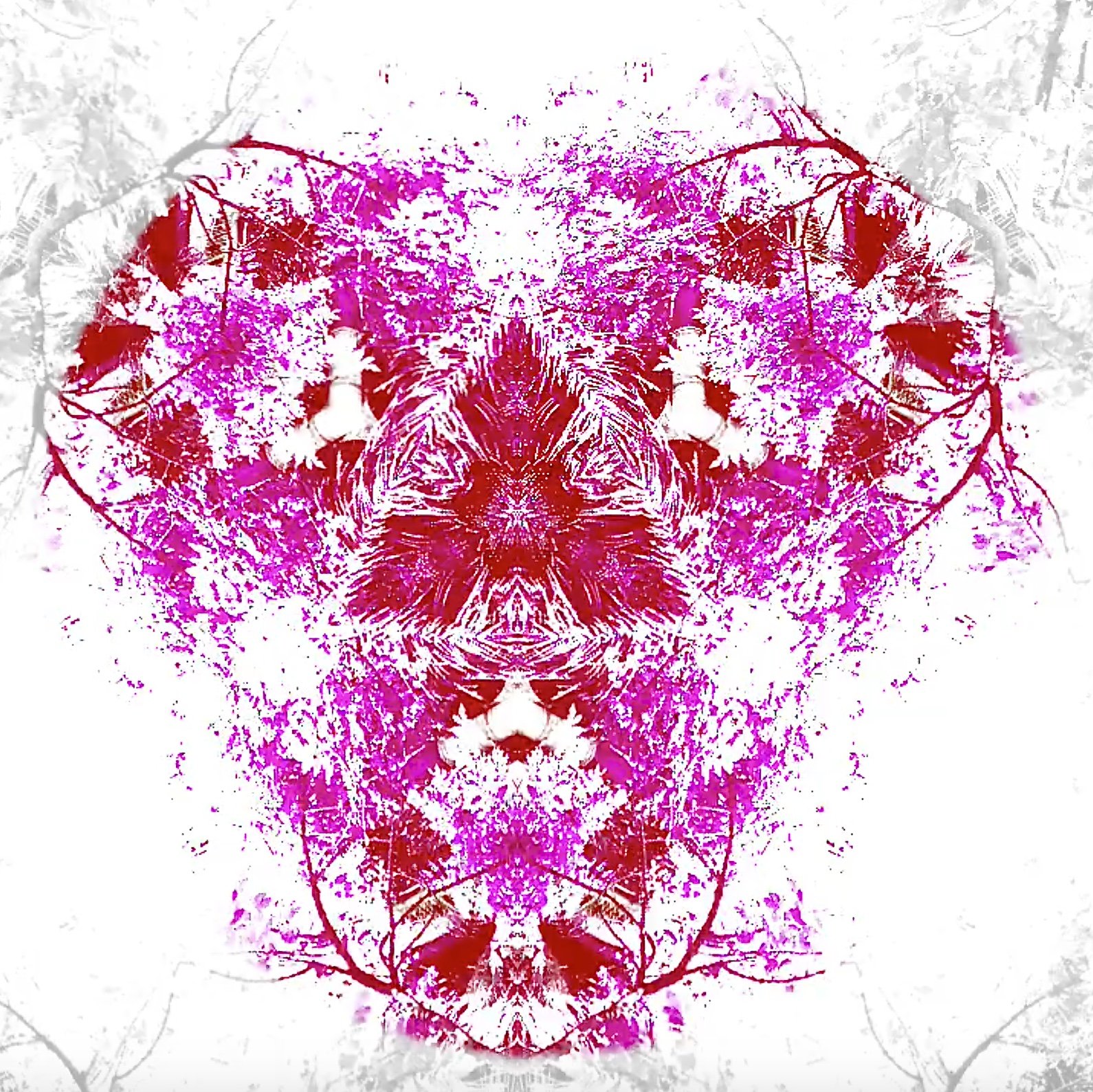 fullsizeoutput_4f02.jpeg