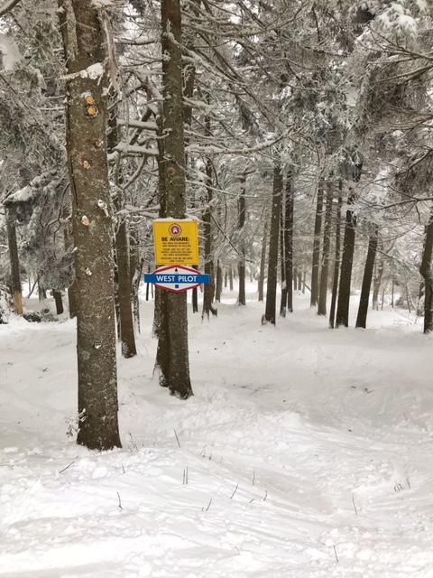 My Snow Bunny Weekend in Manchester, Vermont