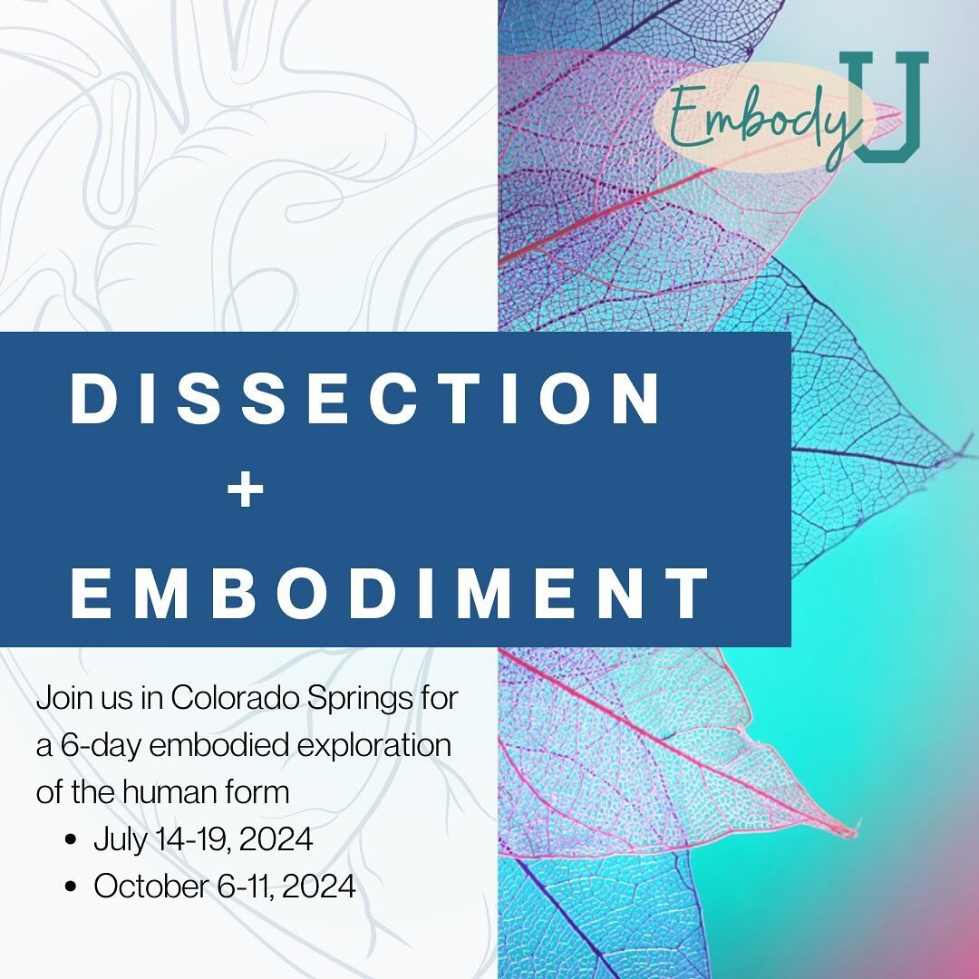 Registration is open for our 2024 Dissection &amp; Embodiment Labs!

These labs are such a special time - if you are a movement educator, Franklin method educator, yoga teacher, massage therapist, PT, etc - anyone who works with the body and has a de