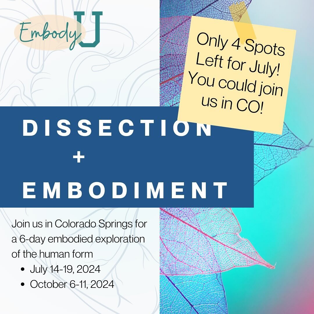 Hey friends! We have just 4 spots left for our July dissection. Join us in CO? Are you ready for an amazing retreat-like experience guaranteed to transform your work and experience of being human?? 

These experiences are so profound - connecting you