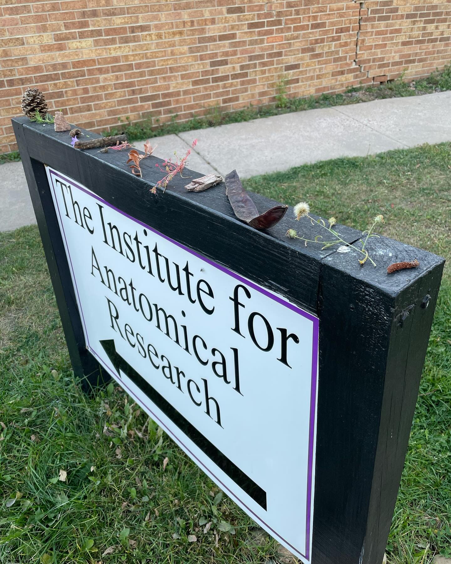 #happyplace  @instituteforanatomicalresearch