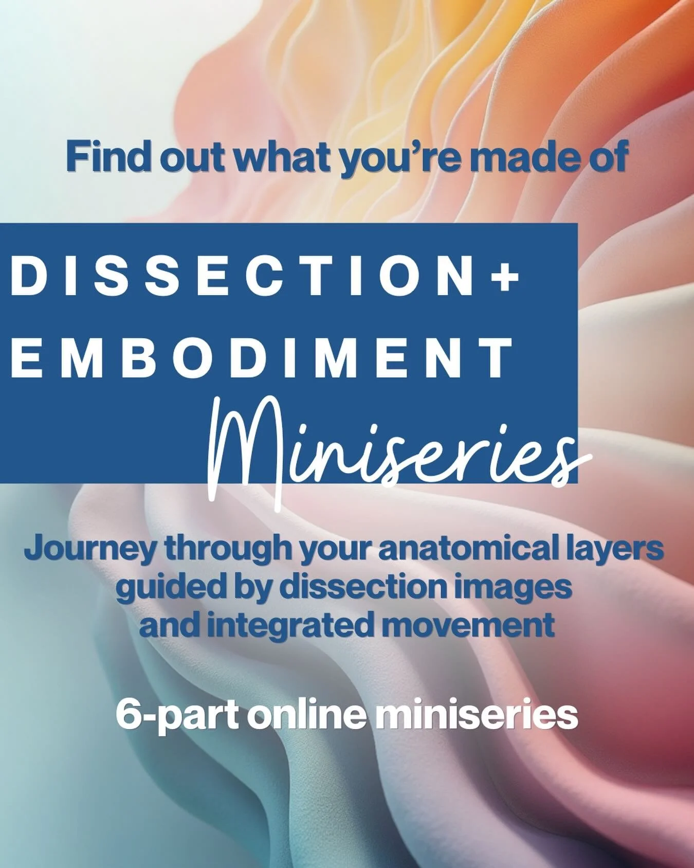We love sharing in the awe and wonder of exploring the human body through both cadaver dissection and embodied movement practice. This is what we integrate in our 6-day lab experiences but we know not everyone can make it to the lab, so we want to gi