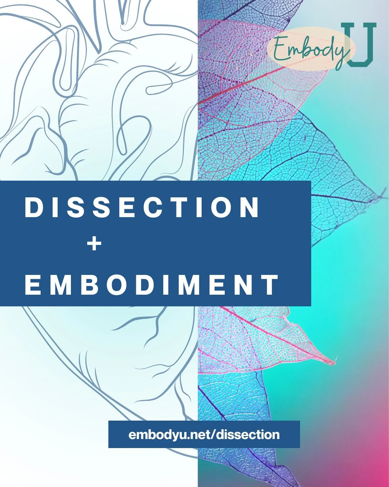 Registration is open for our 2025 Dissection &amp; Embodiment Lab and people are already jumping in! 

Reserve your spot soon to secure the early bird discount, take advantage of the payment plan option, and start planning logistics. 

These labs are