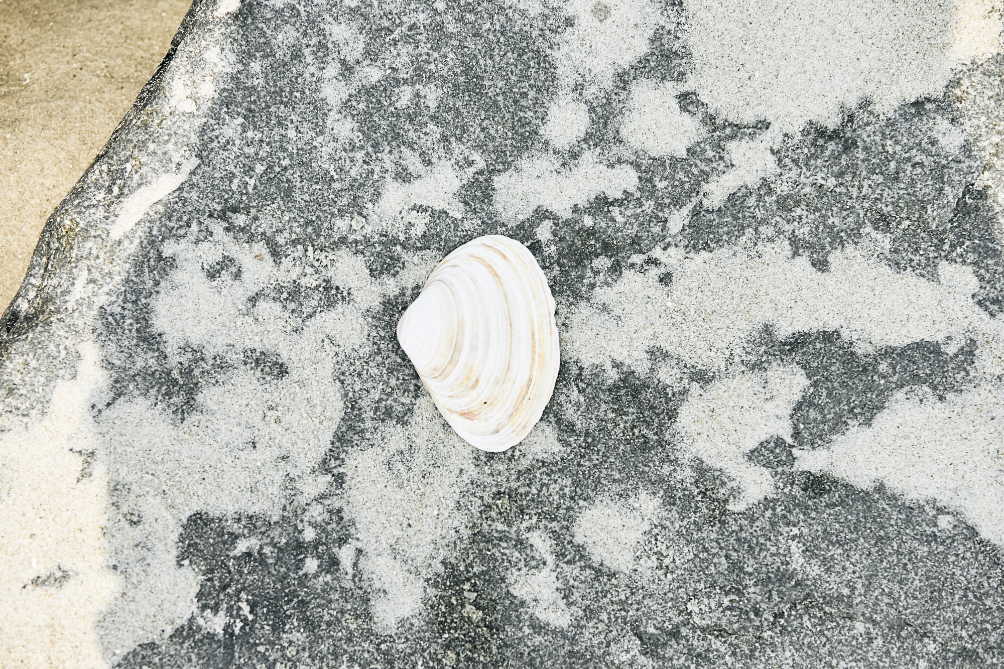 MOLASASA_03108.jpg