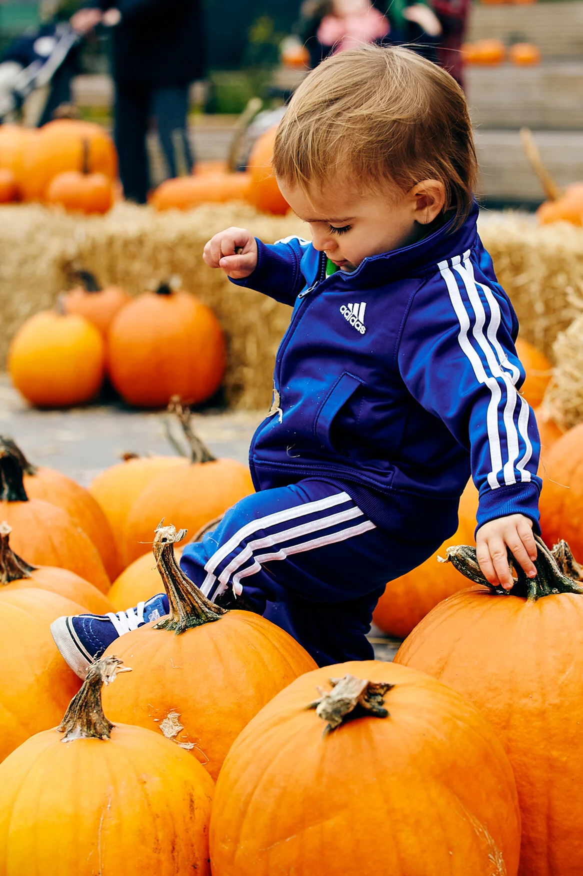 CRISTIANO_PUMPKIN_46517.jpg