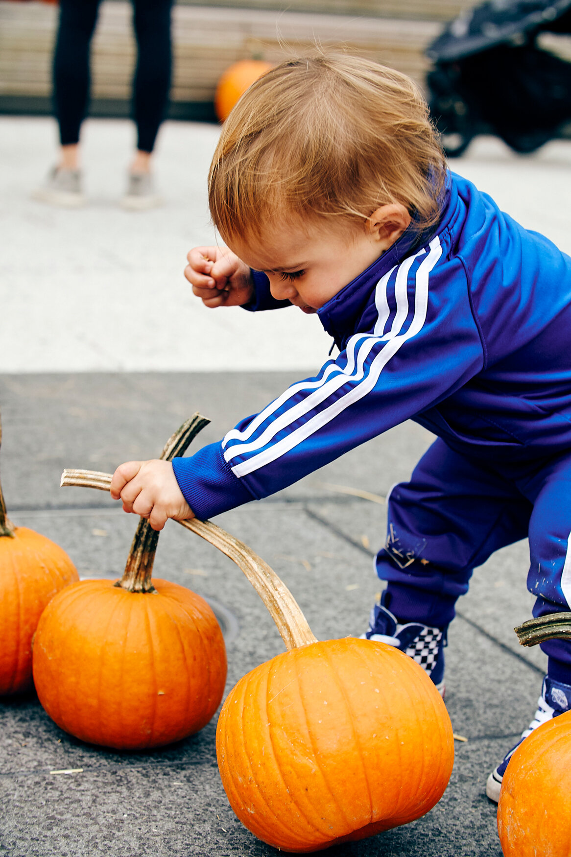 CRISTIANO_PUMPKIN_46558_1.jpg