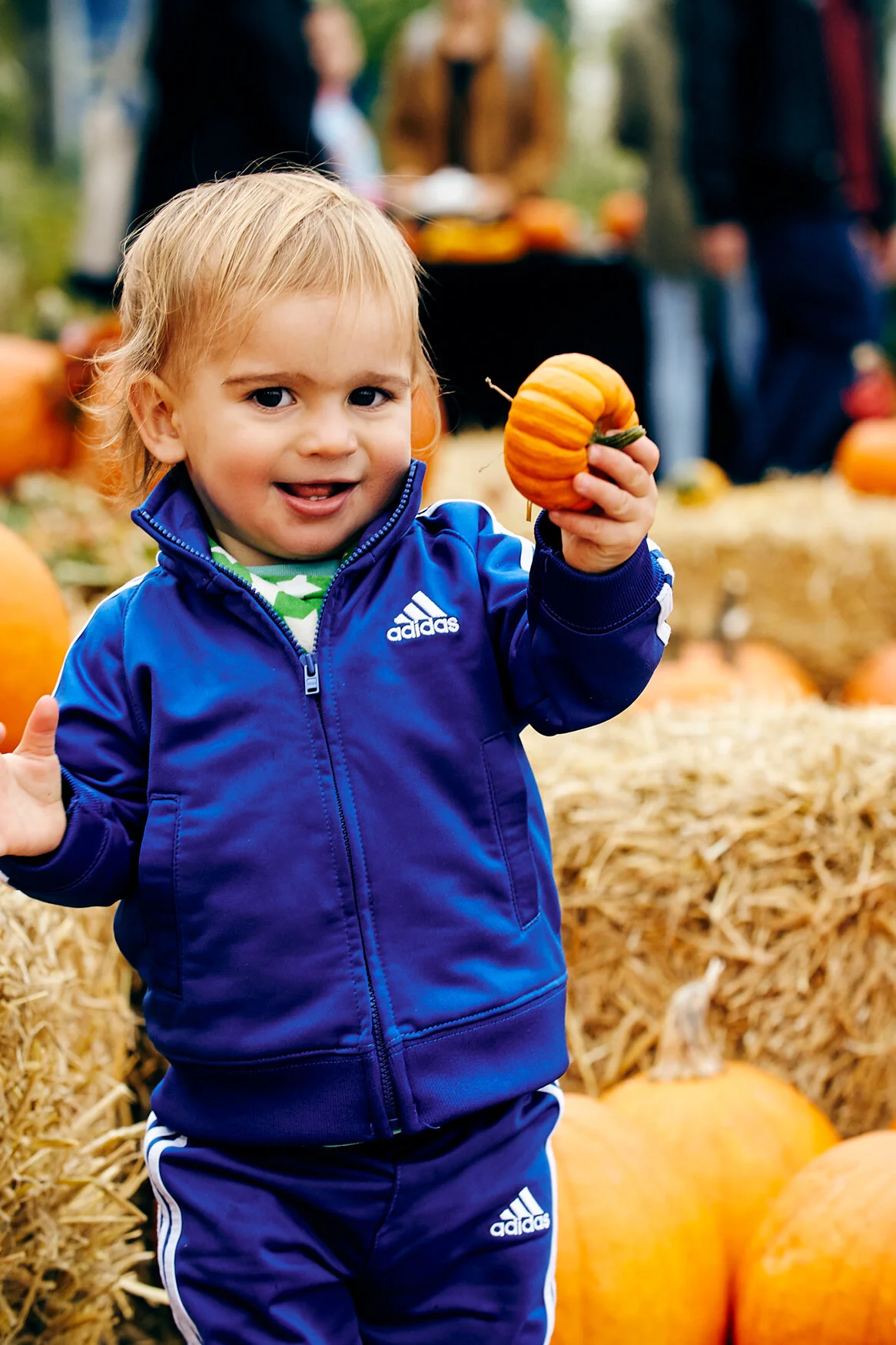 CRISTIANO_PUMPKIN_46600.jpg