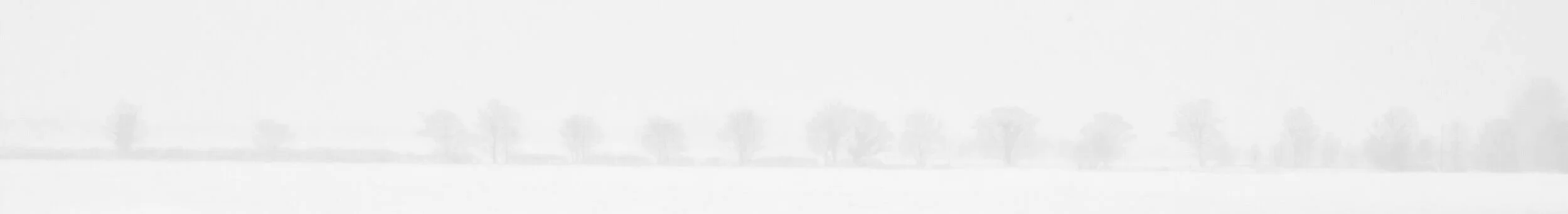 winter-1142029.jpg