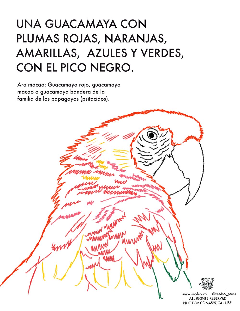 Guacamayas! Coloring Sheets — Veoleo