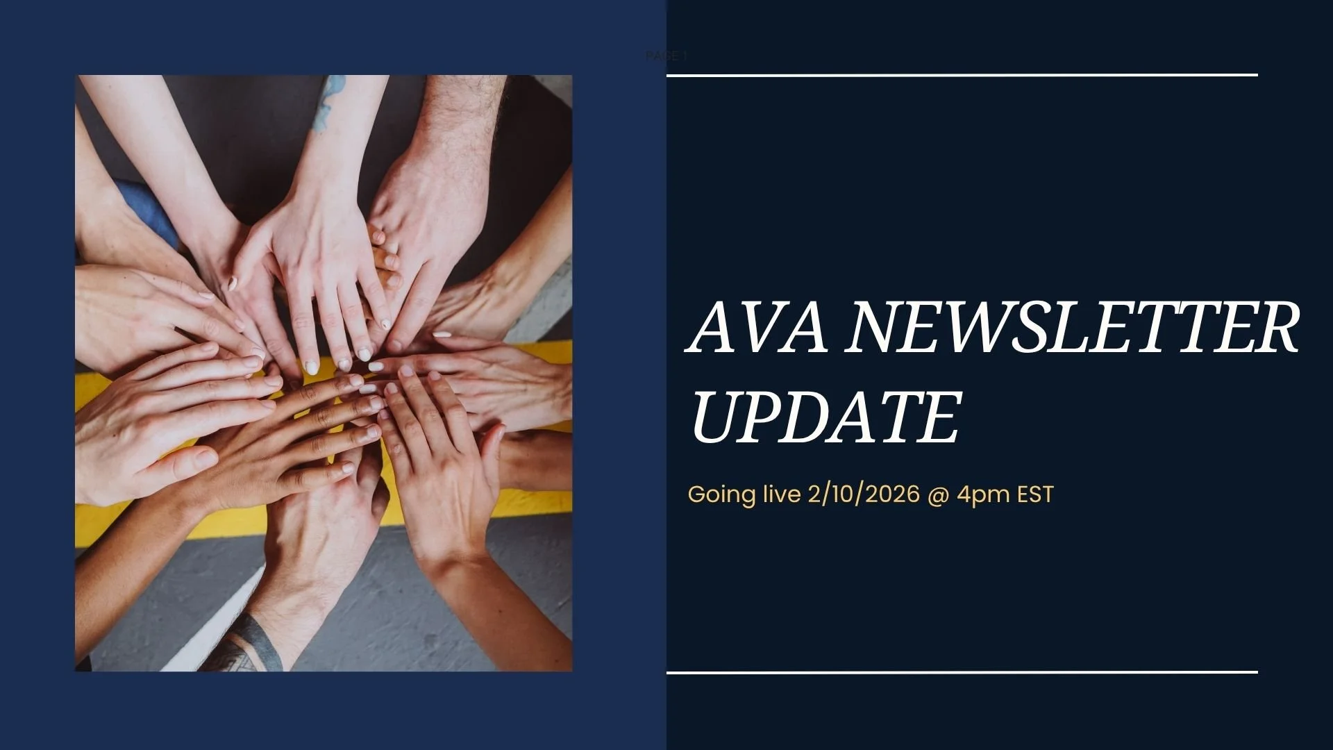 AVA Newsletter 2/10/2026