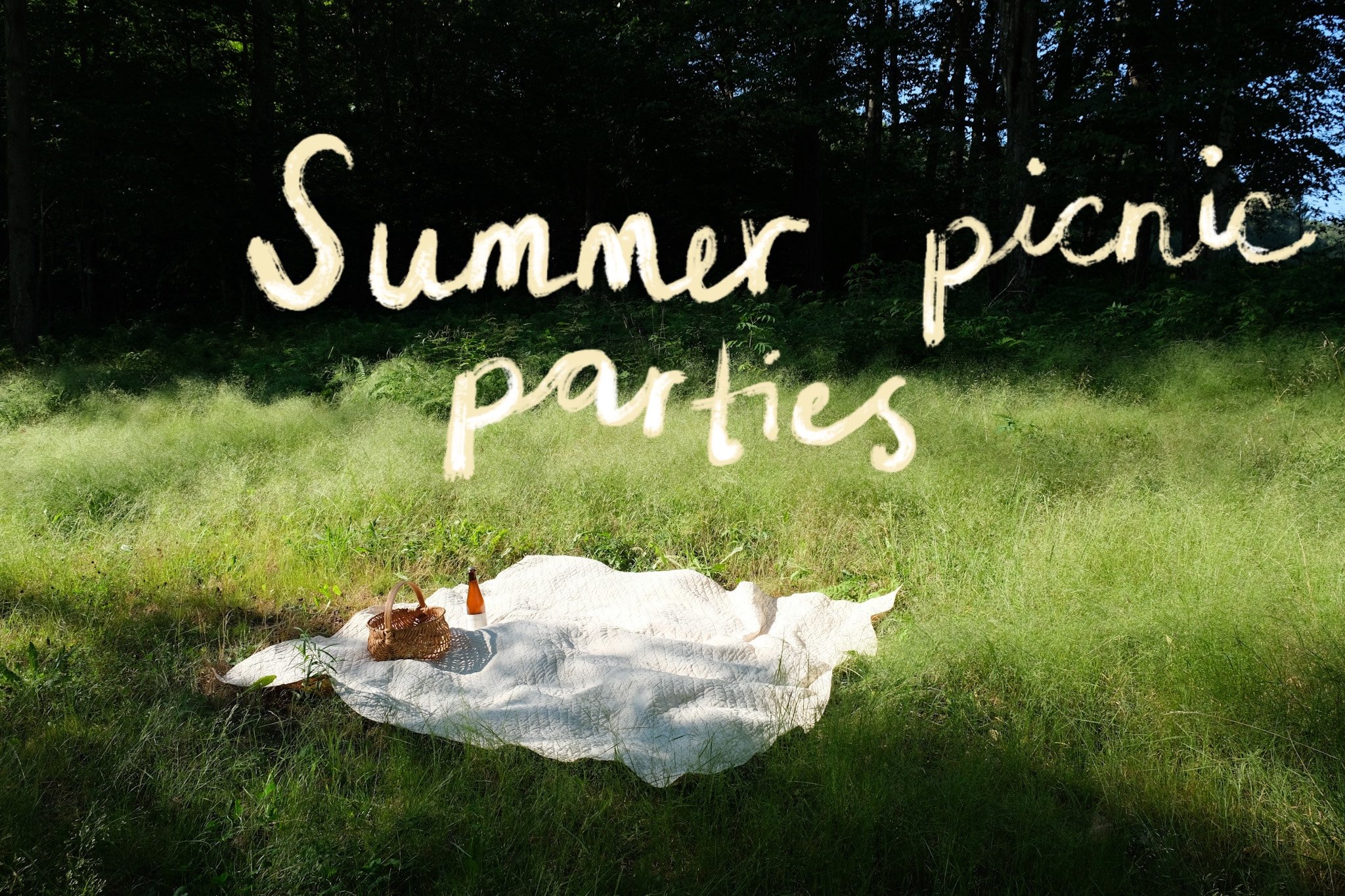 picnic parties.jpg