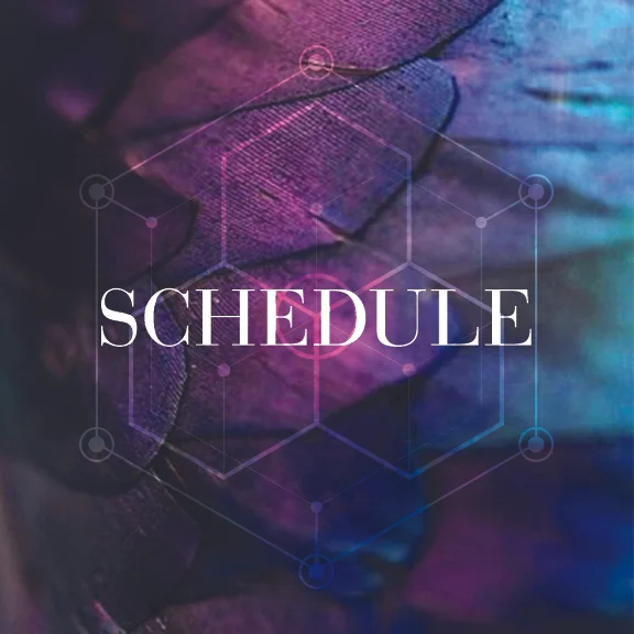 Schedule Optimization