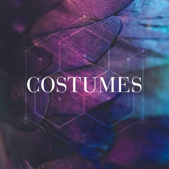Max Profit– Costumes