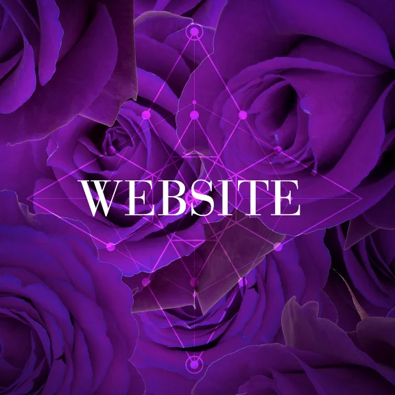 Website Analysis