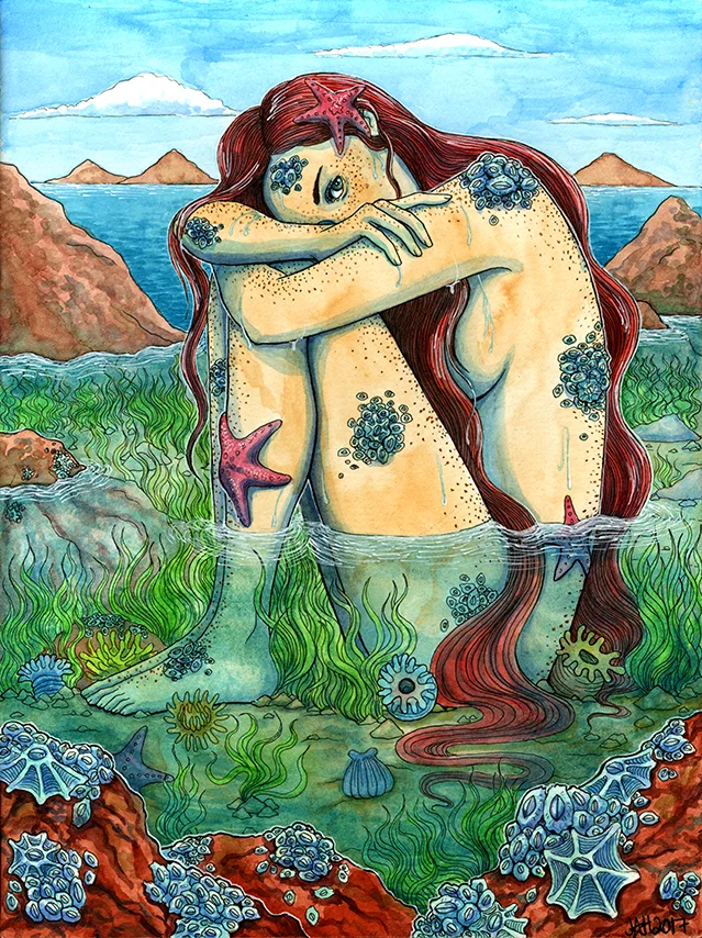 Tide Pool