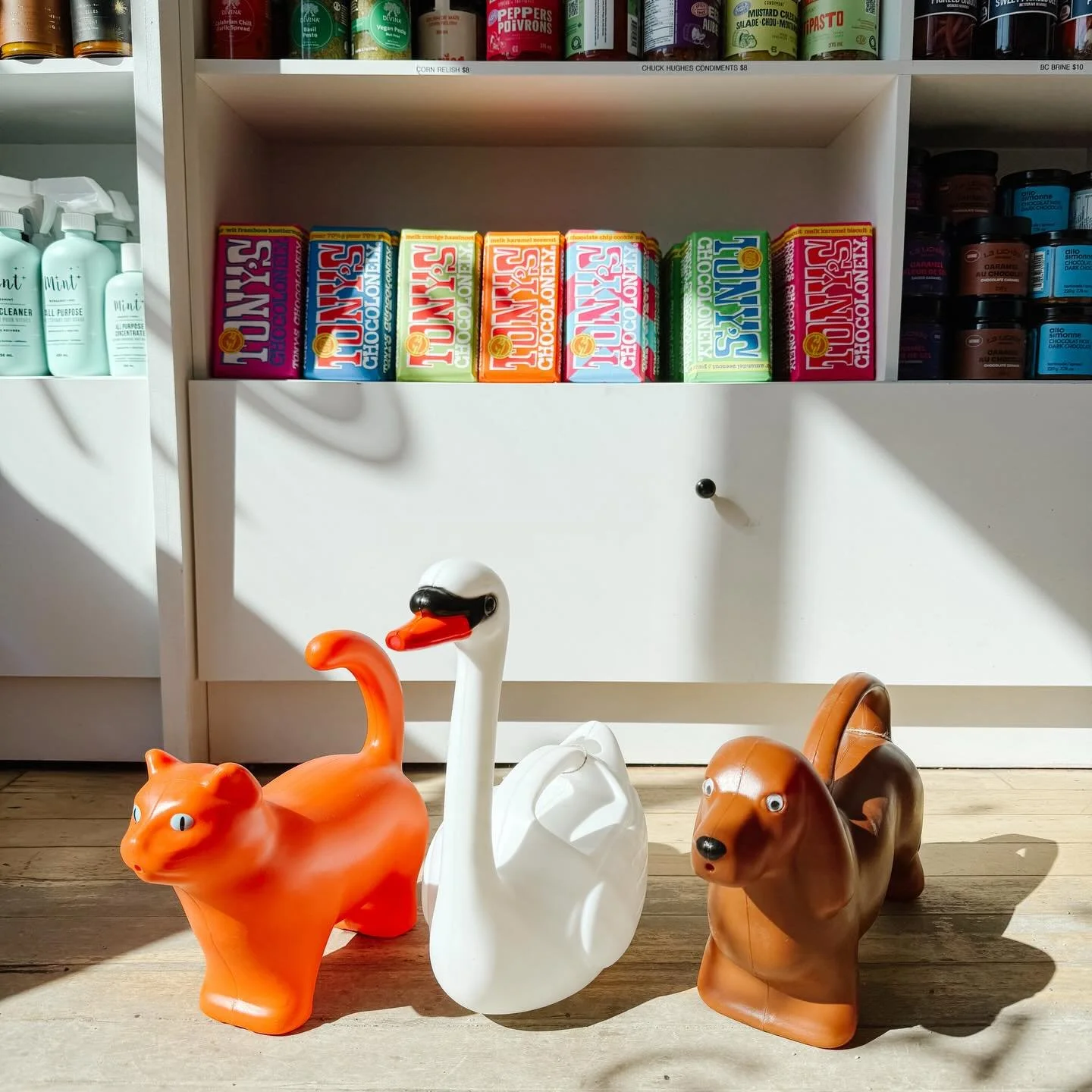 🌷🌼🌷🌼🌷🌼🌷
It&rsquo;s not feeling too Springy yet but our spring stock is making its way onto the shelves anyways, including these *ADORABLE* watering cans!

We&rsquo;re obsessed!
Available in-store and online now!