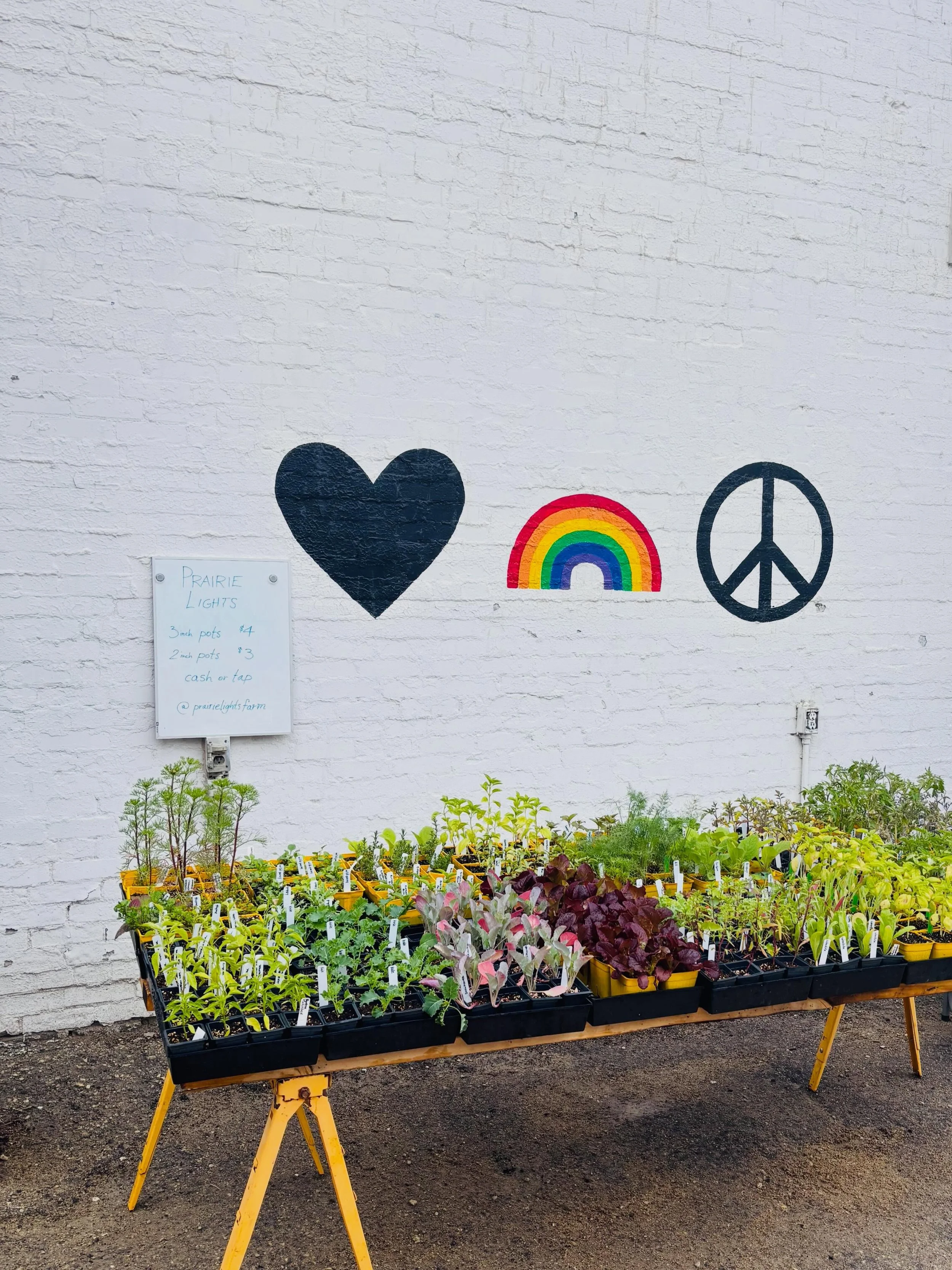 🪴🌱🪴🌱 🪴🌱 🪴
It&rsquo;ll be sunny spring Saturday eventually and @prairielightsfarm are setup in our parking lot today with all kinds of plants ready to get into your garden!

We&rsquo;re here 10-5 and then back on Tuesday!