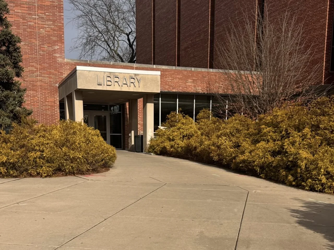MSU Library.jpg
