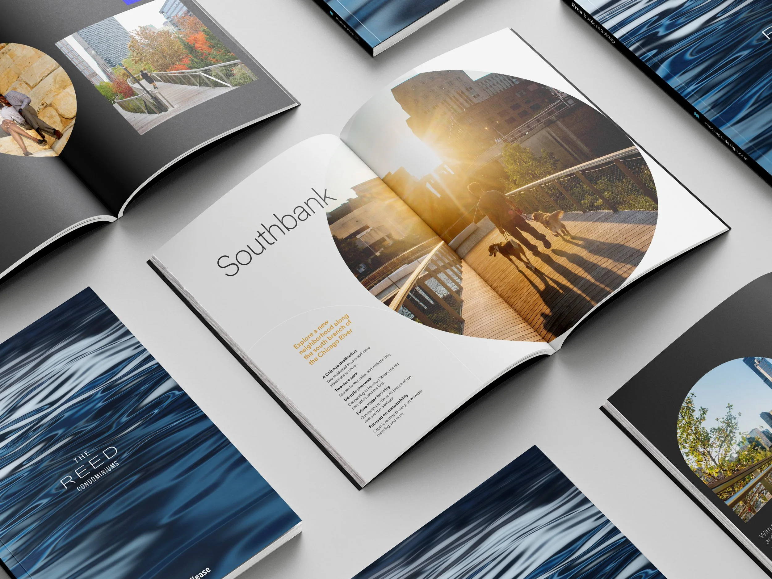 Free_Book_Mockup_84.jpg