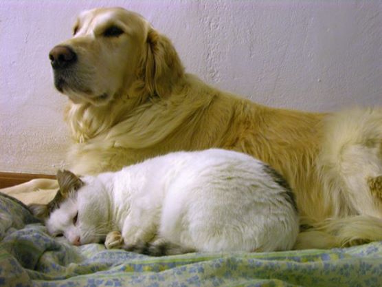 mags-and-mr-c.jpg