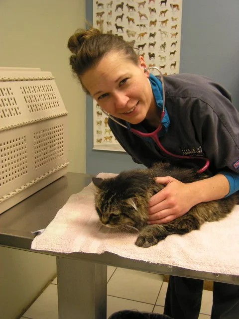JAMIE FIEGE, DVM WITH STRANGER PARK COUNTY ANIMAL HOSPITAL