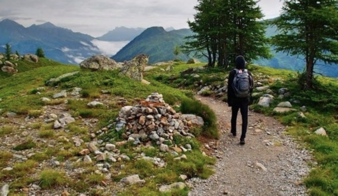 Camino De Santiago.png