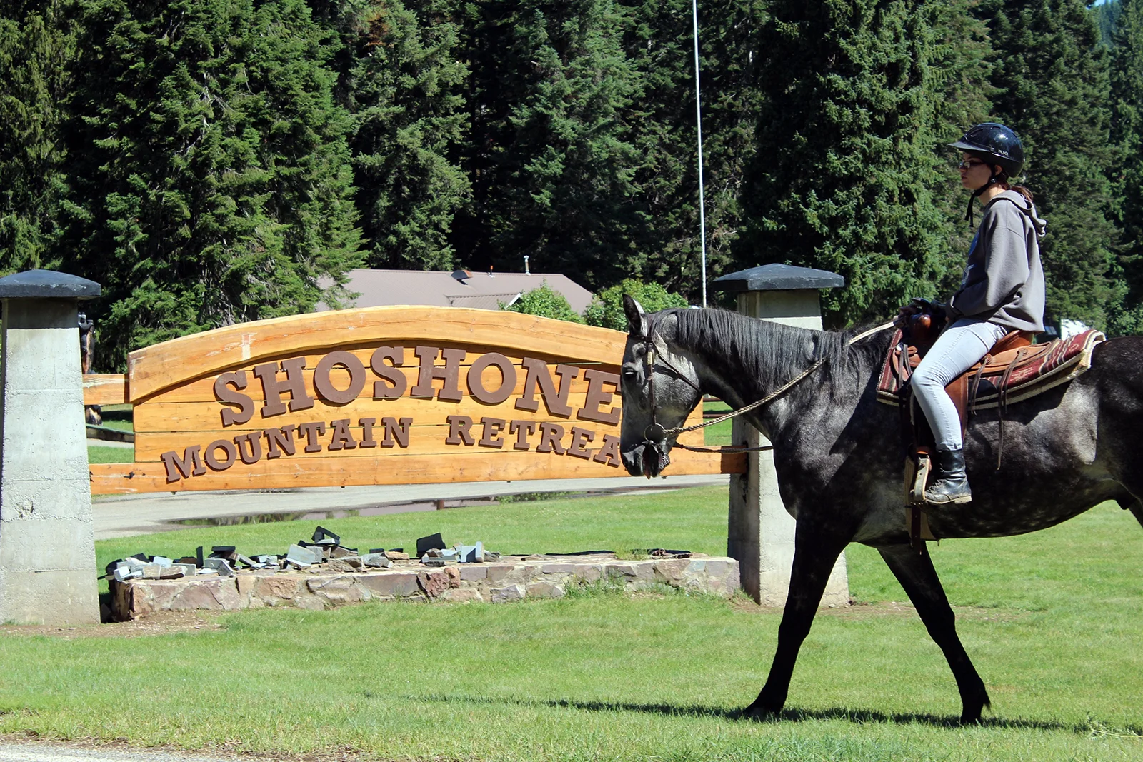 Shoshone horse.jpg