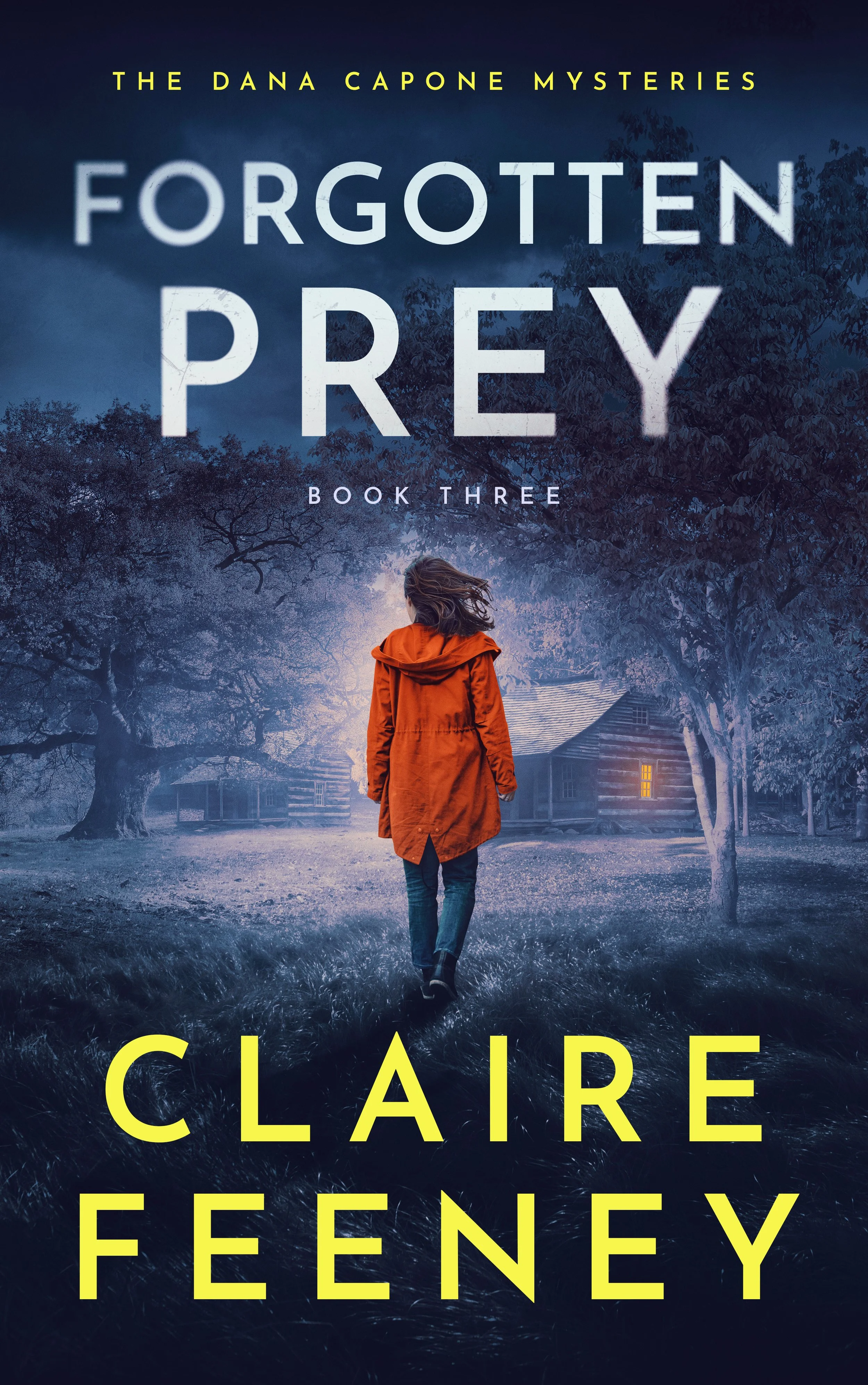 Forgotten Prey - The Dana Capone Mysteries 3