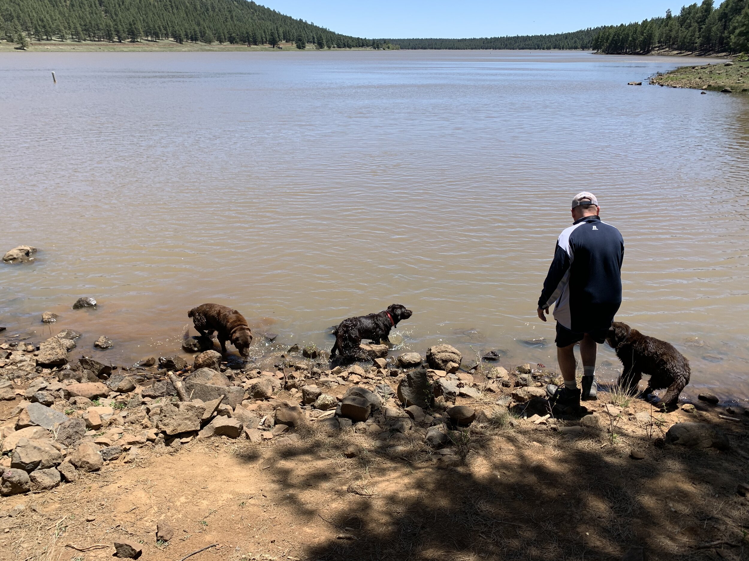 Chad and 3 dogs at lake mary.