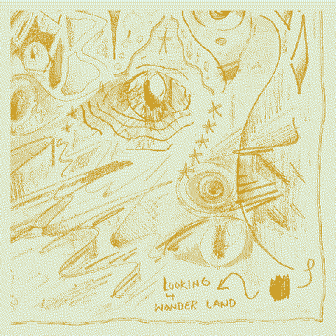 Looking For Wonderland.webp