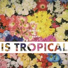 Dancing Anymore | IS TROPICAL