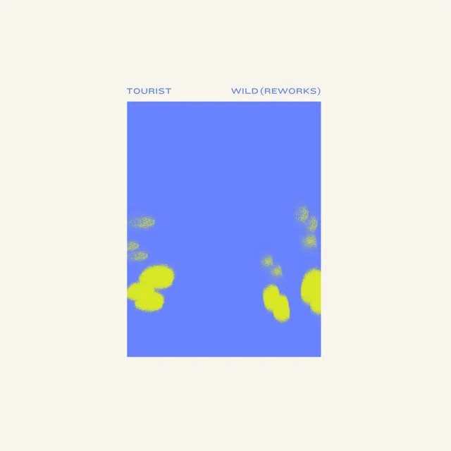 Kin (Anthony Naples Remix) | Tourist, Anthony Naples