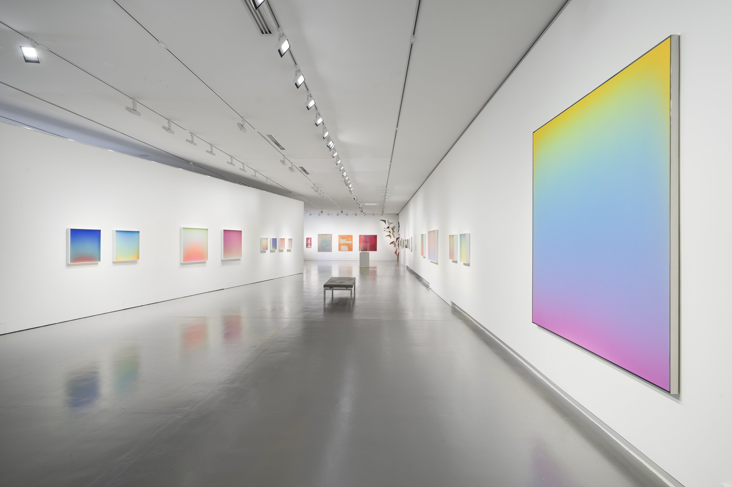 Absolute-Colour-LG-20240414--2.jpg