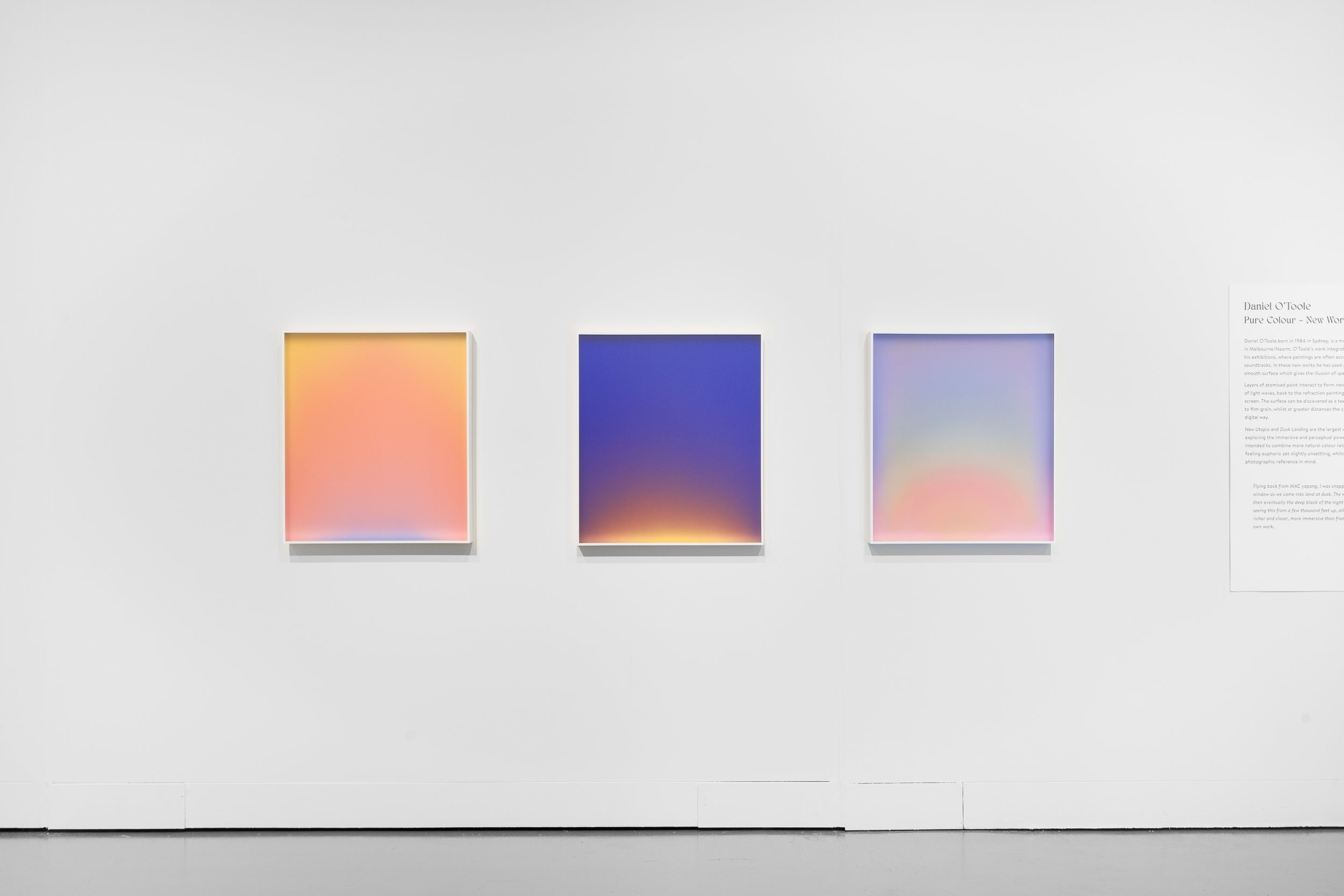 Absolute-Colour-LG-20240414-1913.jpg