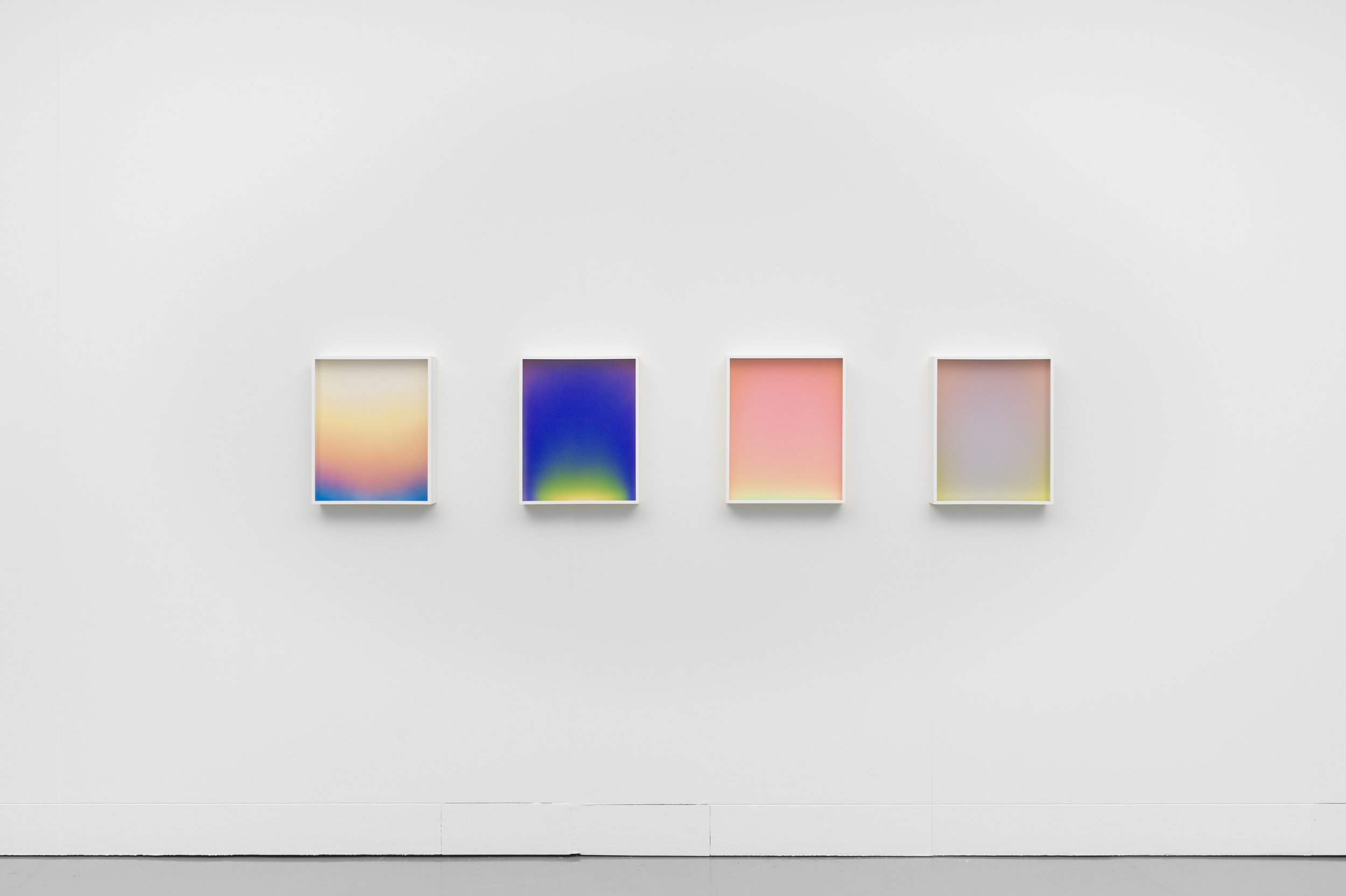 Absolute-Colour-LG-20240414-1935.jpg