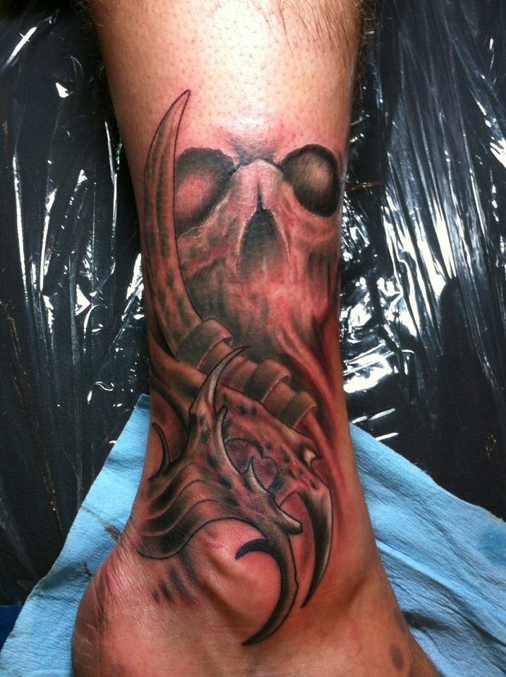Skull and Bio