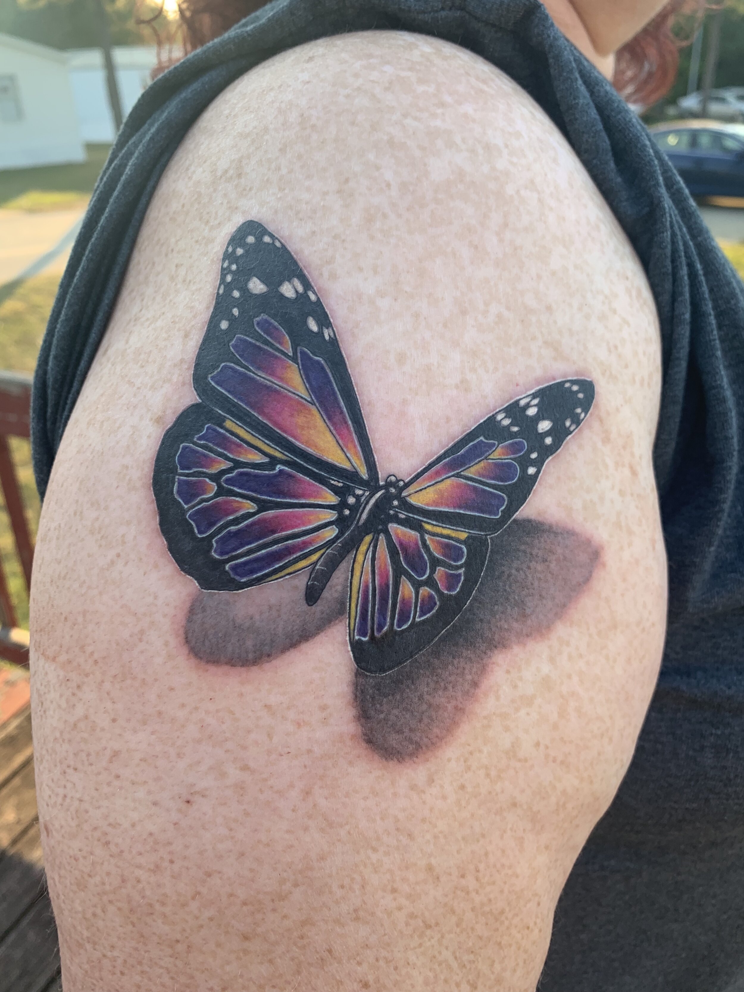 Butterfly
