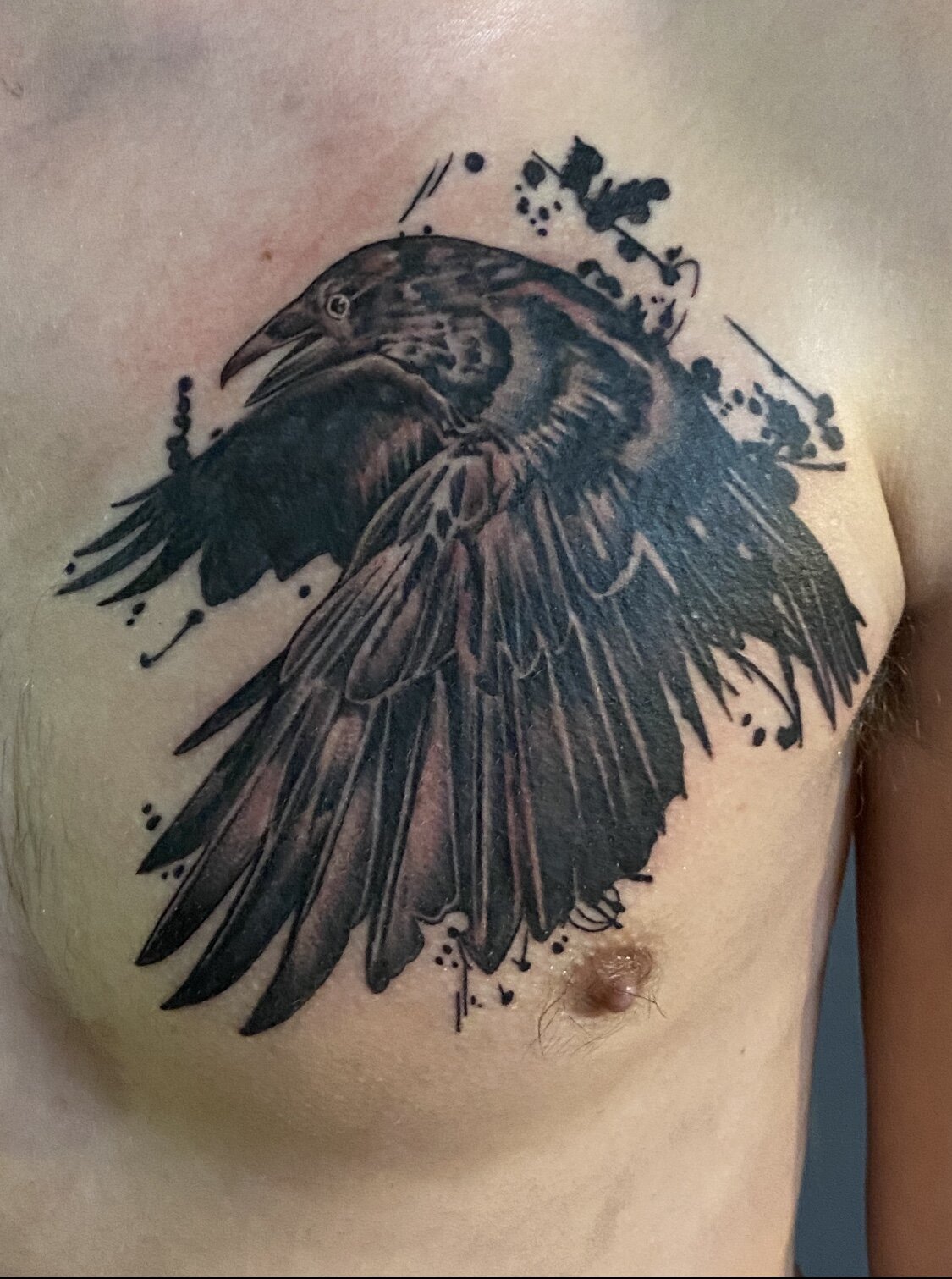 Raven