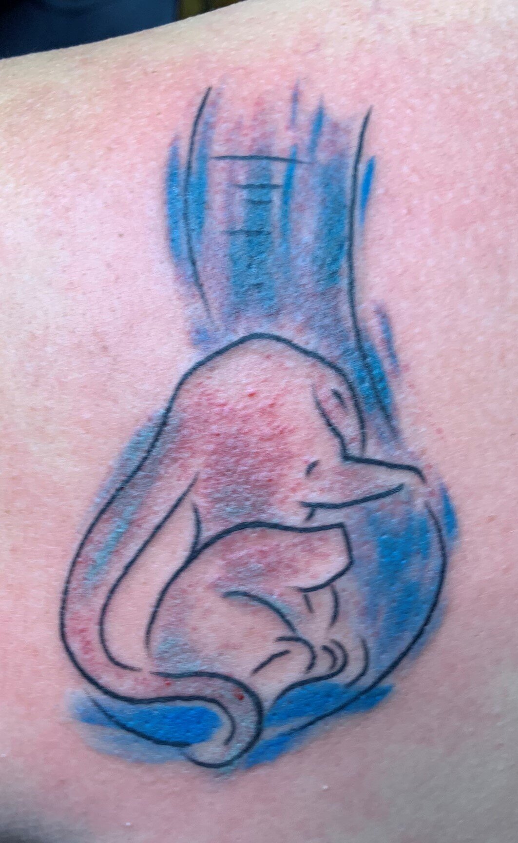 Dumbo