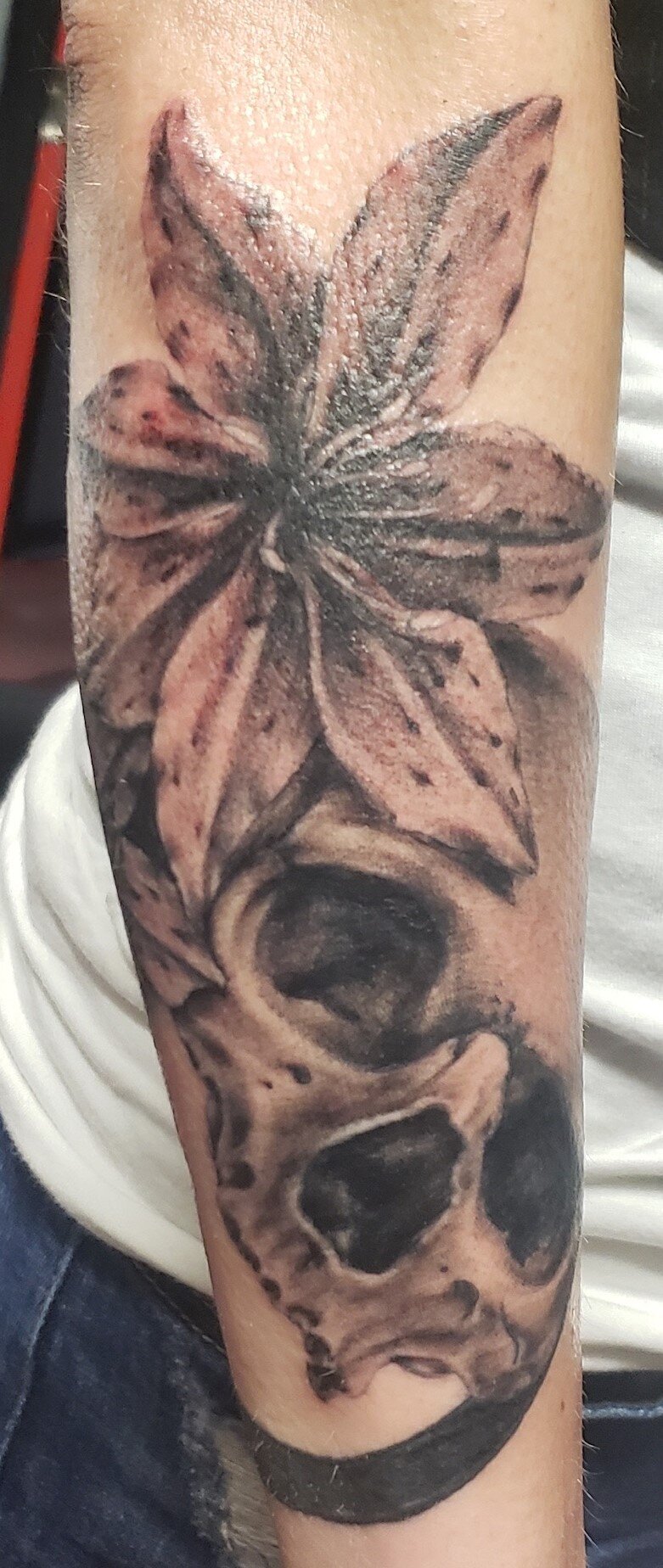 Skull with Tiger Lily