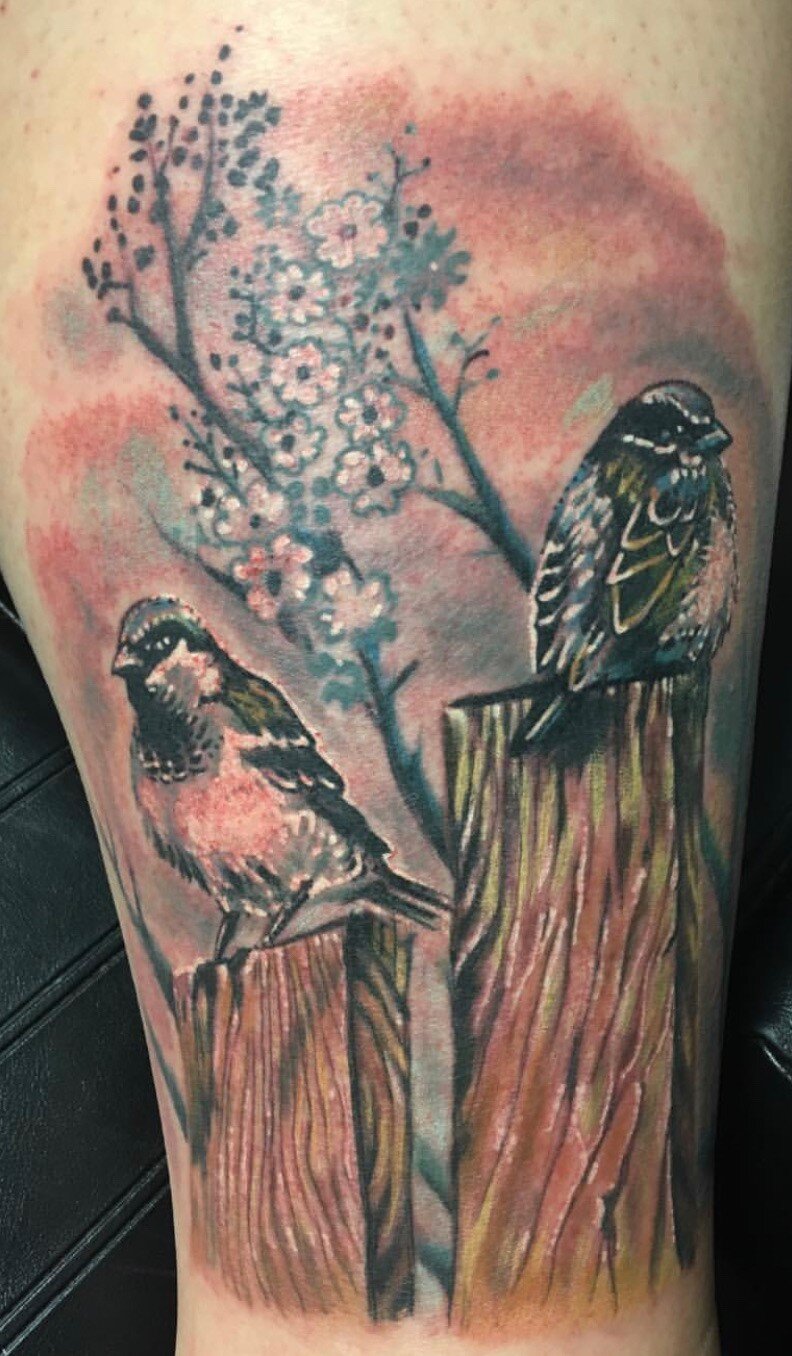 Birds on a Post