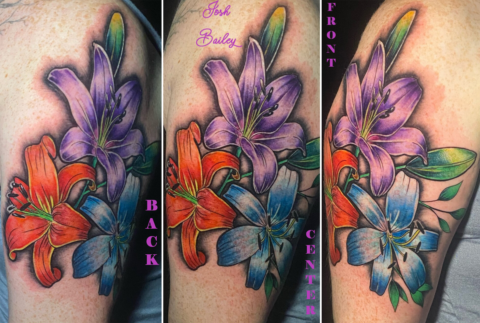 Tiger Lilies Collage